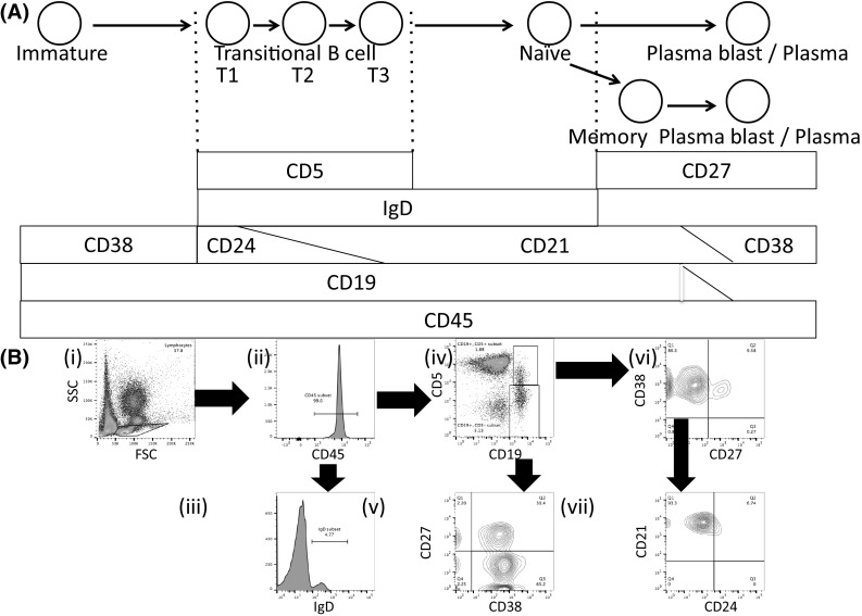 Fig. 1