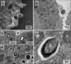 FIG 2