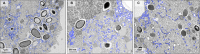 FIG 4