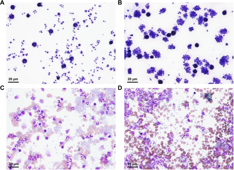 Figure 1—figure supplement 3.