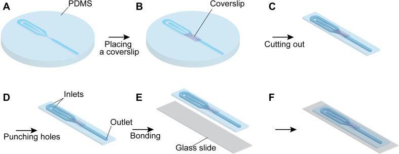 Figure 1—figure supplement 4.