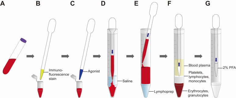 Figure 1—figure supplement 1.