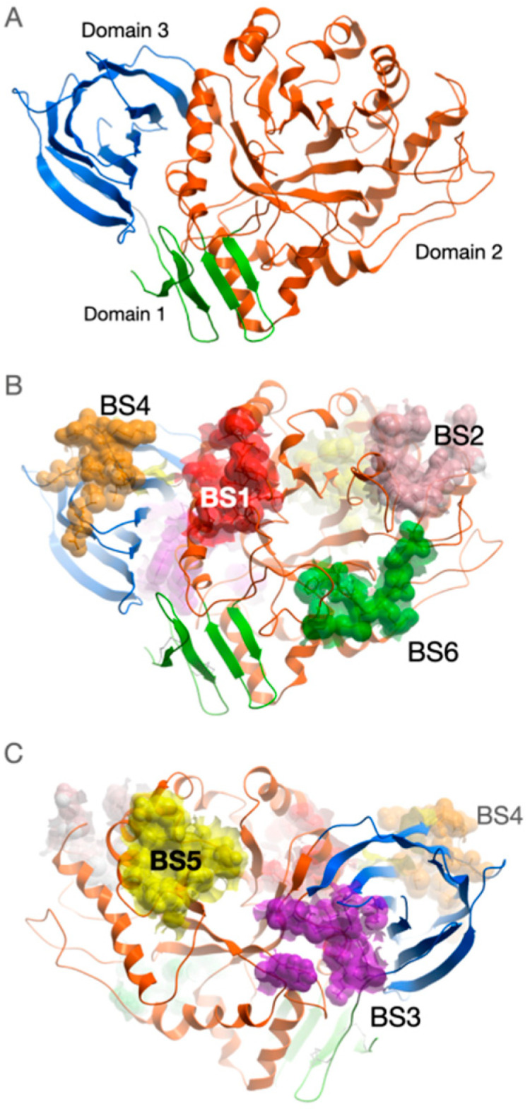 Figure 1