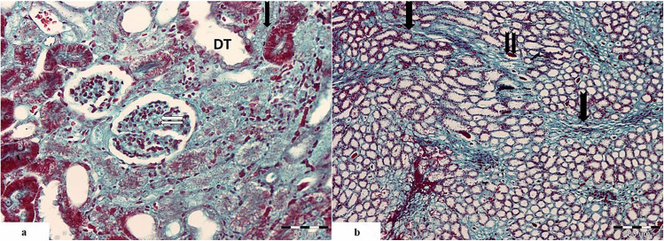 Fig. 5