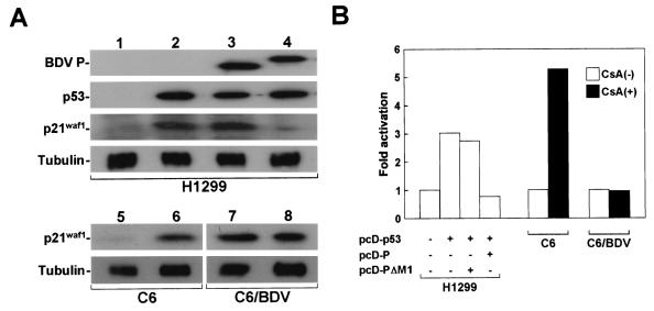 FIG. 7.