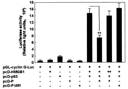 FIG. 6.