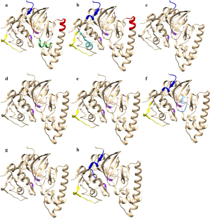 Fig. 6