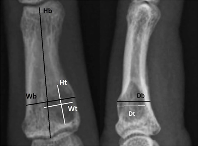 Figure 1.