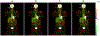 Fig. 7.