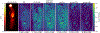 Fig. 3.
