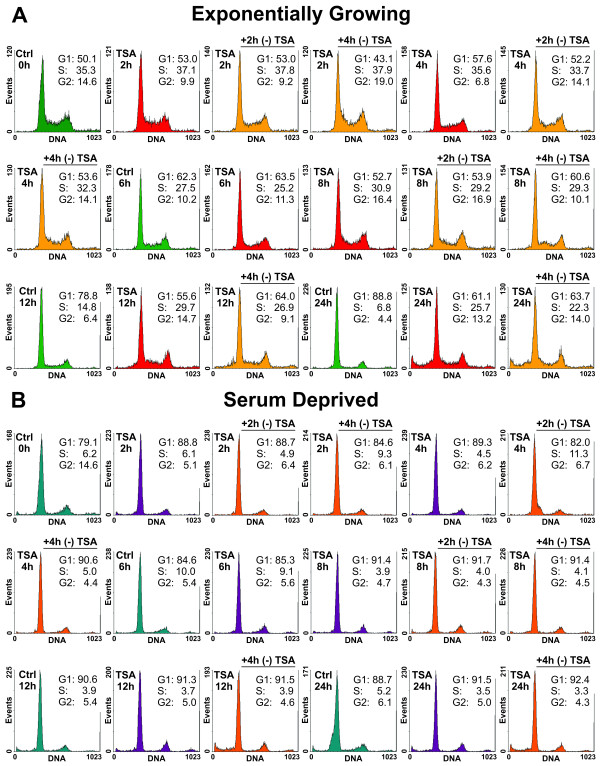 Figure 4 