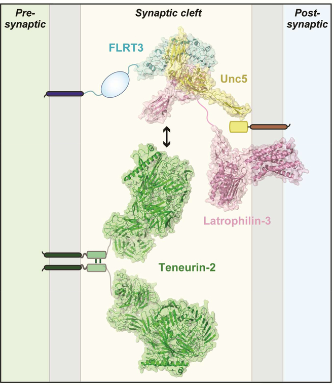 Figure 5: