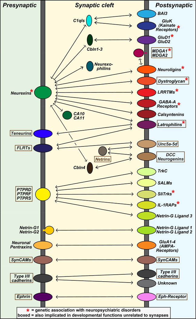 Figure 4: