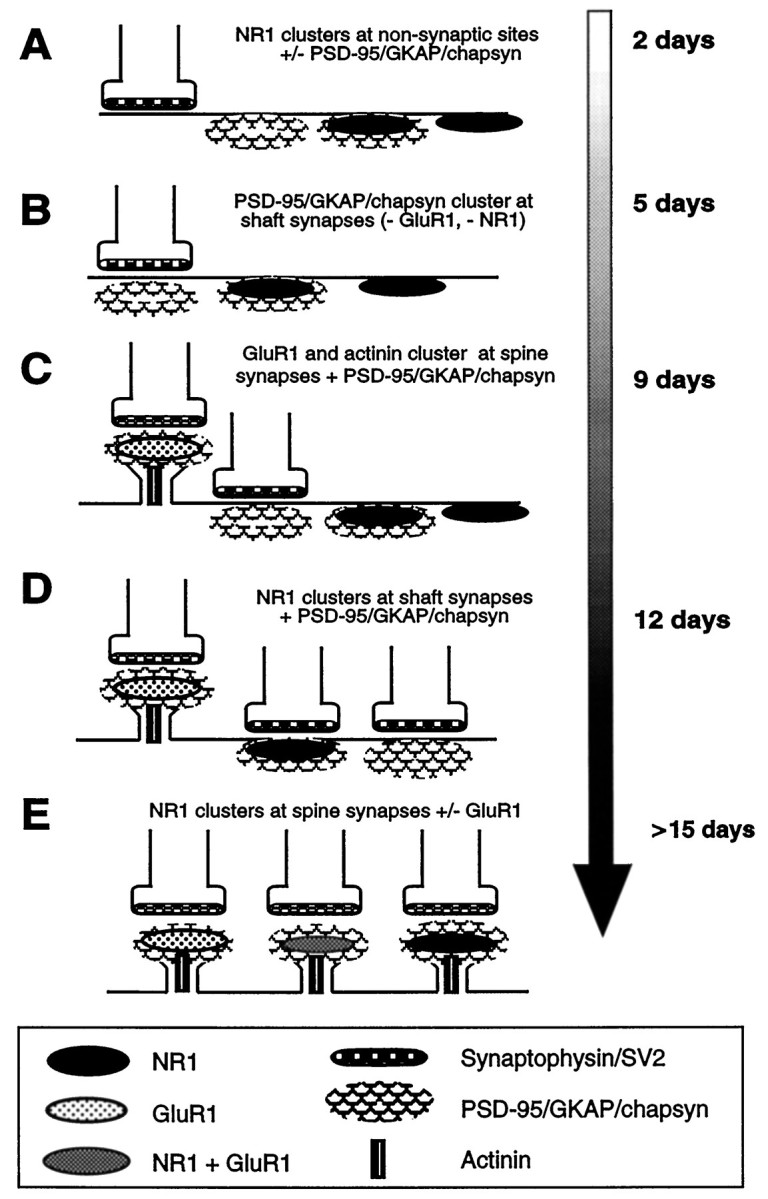 Fig. 9.