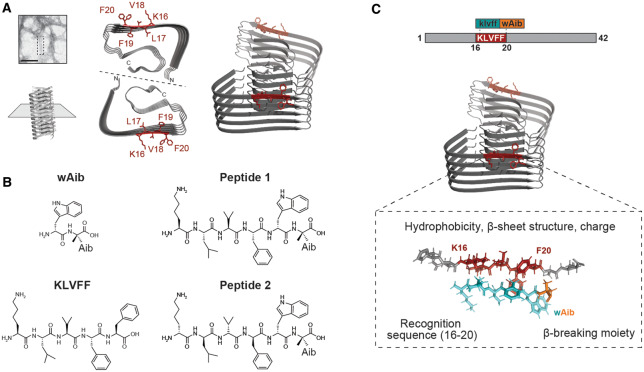 Figure 1.