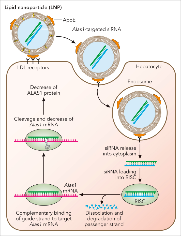 Figure 2.