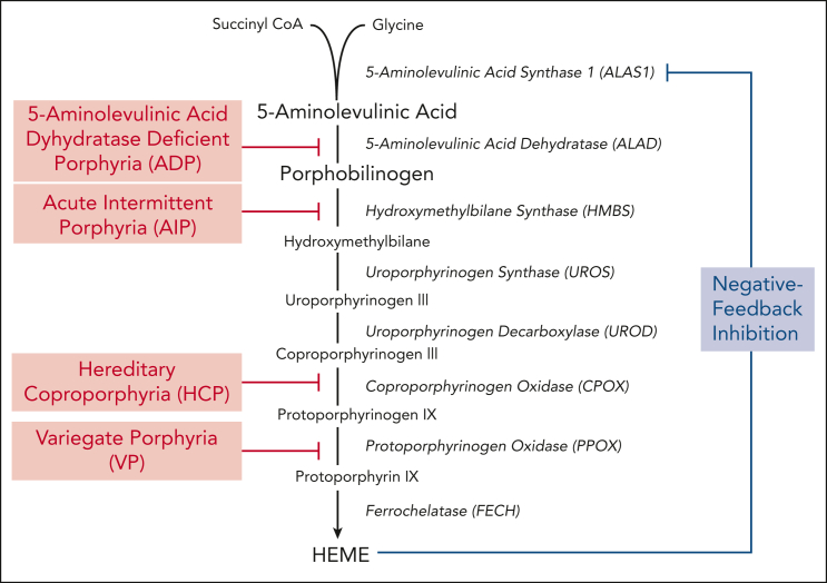 Figure 1.