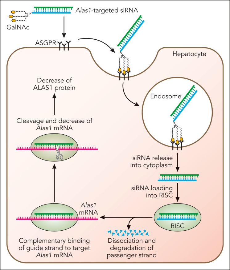 Figure 3.