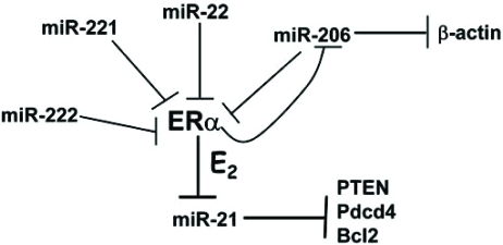 Fig. (3)