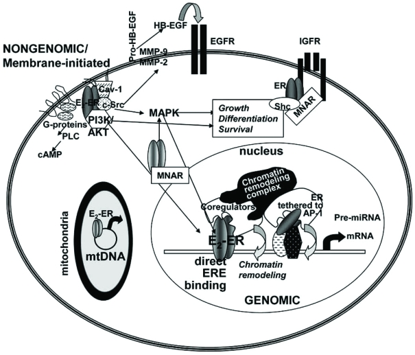 Fig. (1)