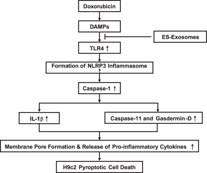 Fig. 11.