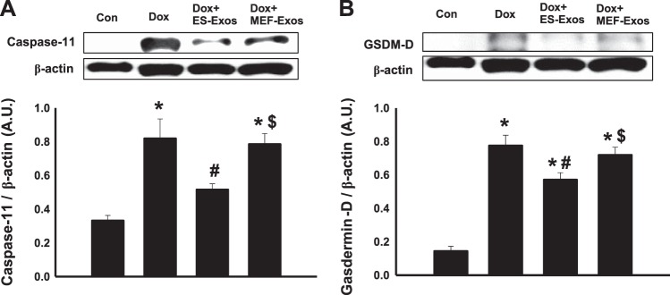 Fig. 8.