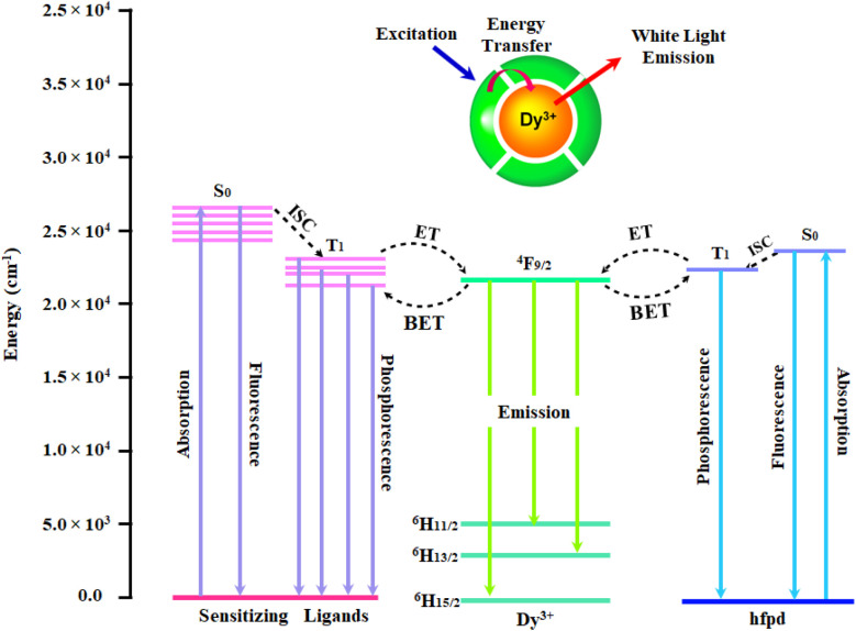 Fig. 11