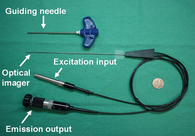 Figure 1a: