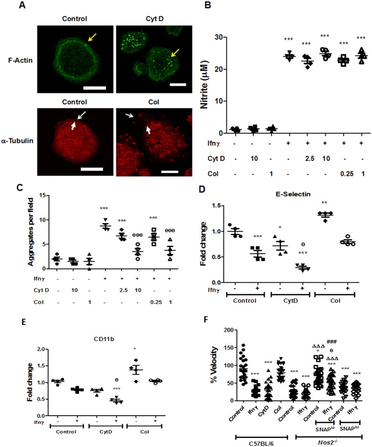 Fig 8