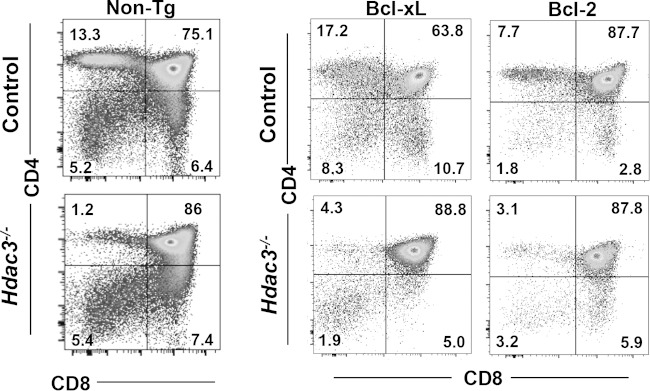 FIG 6