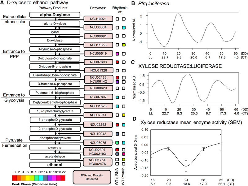 Figure 6.