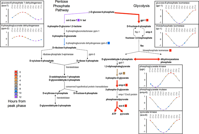 Figure 4.