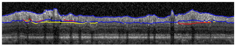 Fig. 7.