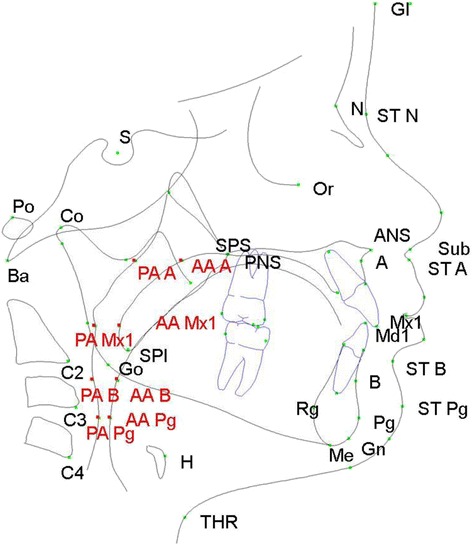 Fig. 1