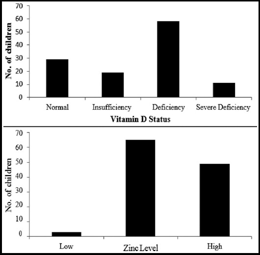 Fig.1