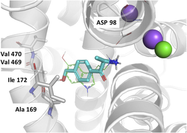 FIGURE 5