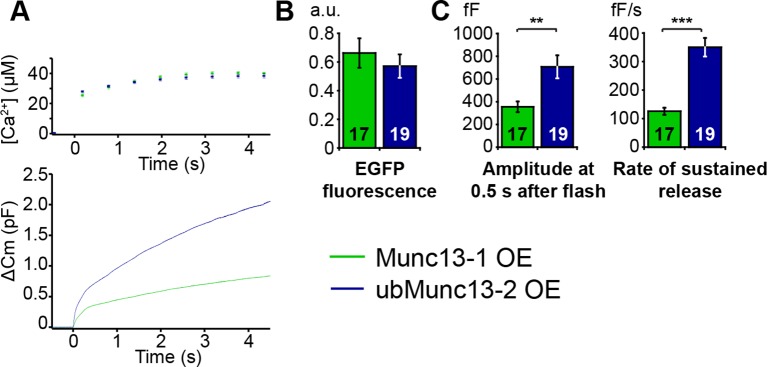 Figure 5—figure supplement 1.