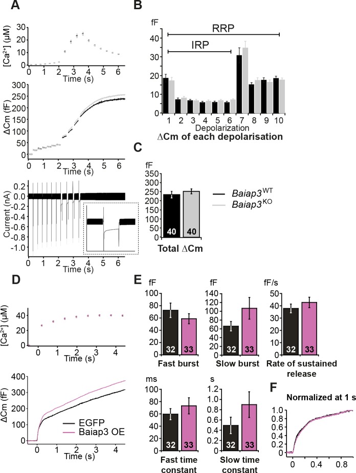 Figure 2—figure supplement 1.