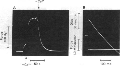 graphic file with name pnas00462-0215-a.jpg