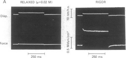 graphic file with name pnas00462-0216-a.jpg