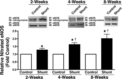 Fig. 9.