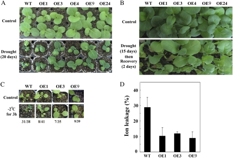 Figure 2.