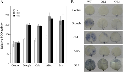 Figure 5.