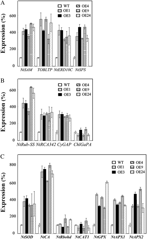 Figure 3.