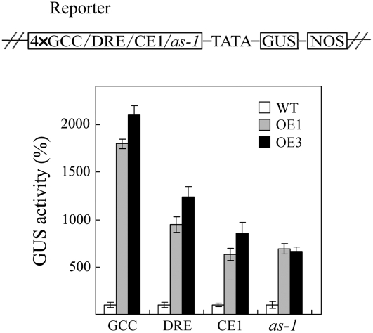 Figure 6.