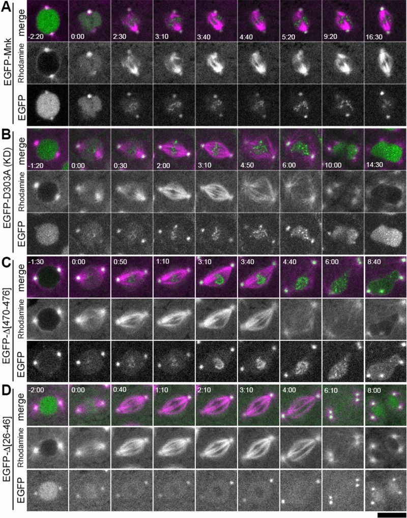 FIGURE 5: