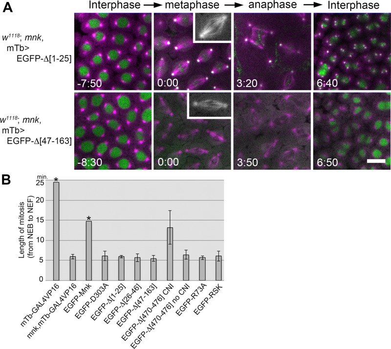 FIGURE 6: