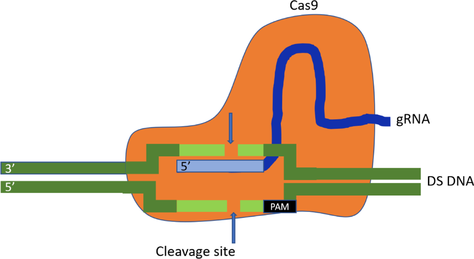 Figure 1: