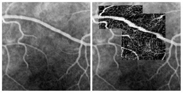 Fig. 7