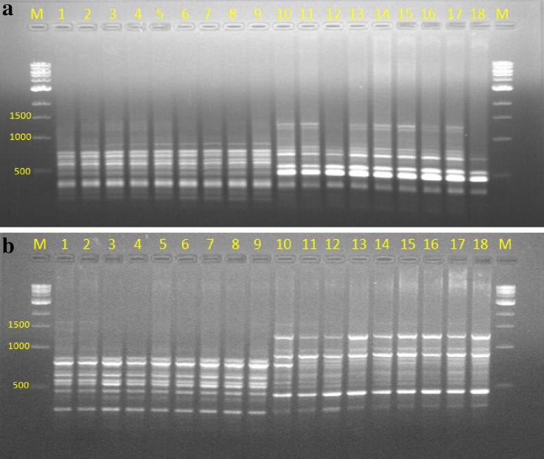 Fig. 8